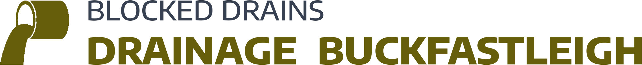 website logo